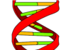 Turner syndrome inheritance ,definition,symptoms ,causes and treatment Turner syndrome treatment
