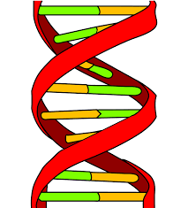 Turner syndrome inheritance ,definition,symptoms ,causes and treatment Turner syndrome treatment