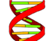 Turner syndrome inheritance ,definition,symptoms ,causes and treatment Turner syndrome treatment