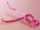 what is ebola? what are the symptoms of ebola | ebola victims what is ebola