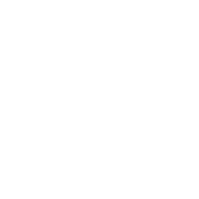 Holistic Healing
